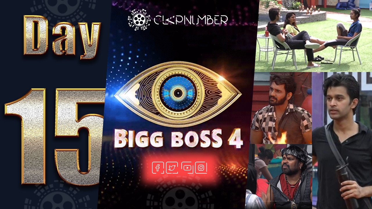 Bigg Boss 4: Day 15: Insights